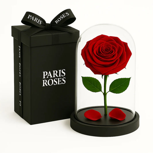 Roses Éternelle Rouge sous Cloche