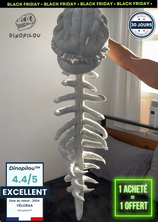 Dinopilou™